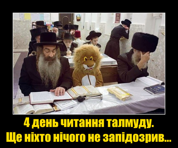 Приколи в синагозі. Сидить людина в костюмі лева. 4 день читання талмуду. Ще ніхто нічого не запідозрив...