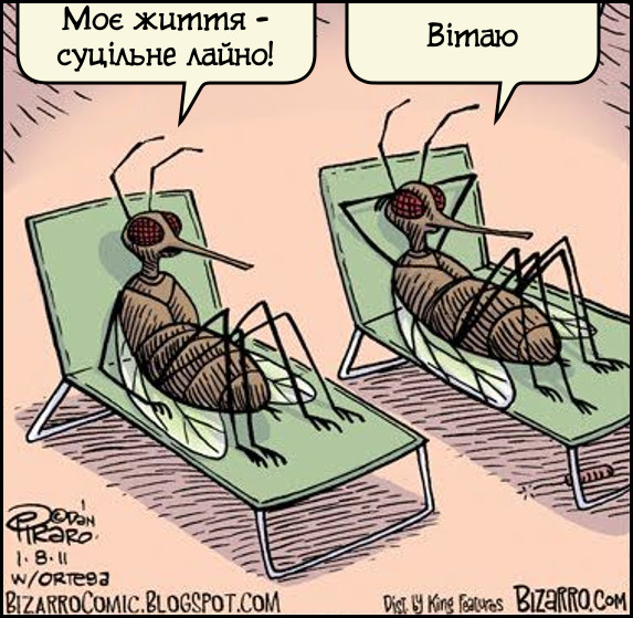 Мухи. - Моє життя - суцільне лайно! - Вітаю. Карикатура про мух. 