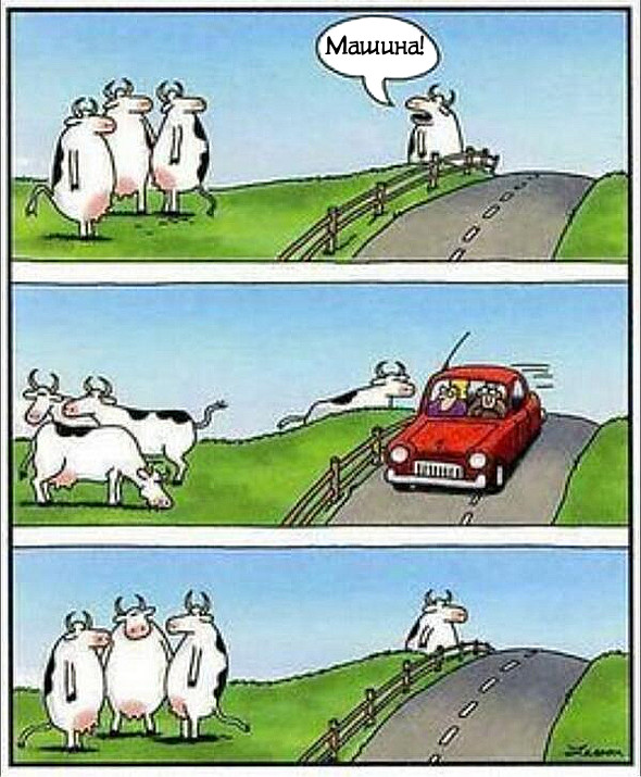 Корови
