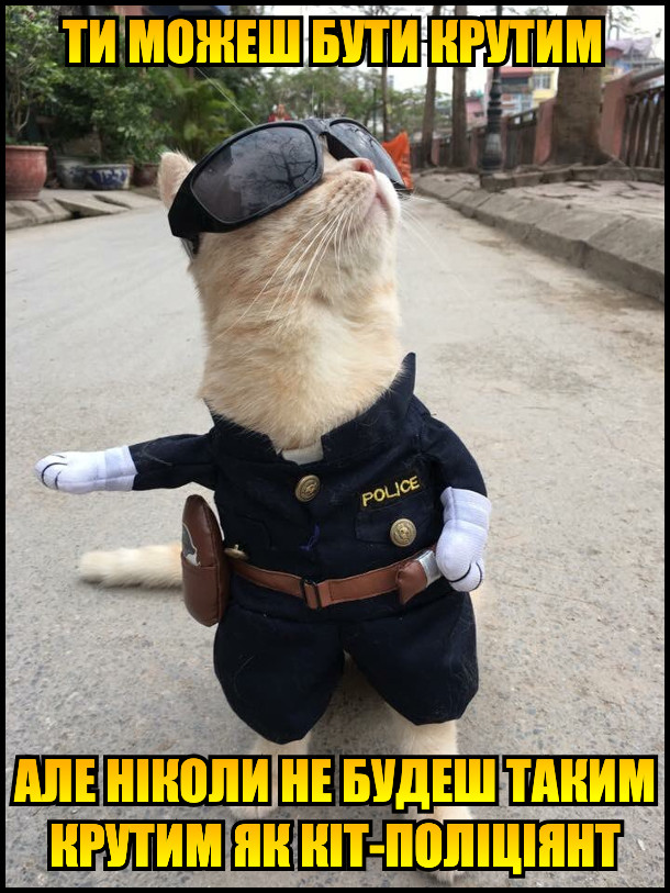 Ти можеш бути крутим, але ніколи не будеш таким крутим як кіт-поліціянт