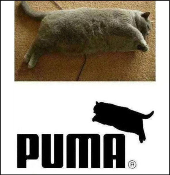 Puma XXL