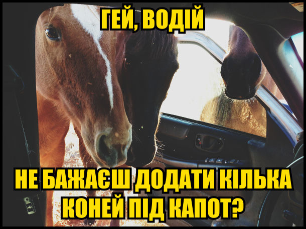 Коні зазирають в кабіну: - Гей, водій, не бажаєш додати кілька коней під капот?