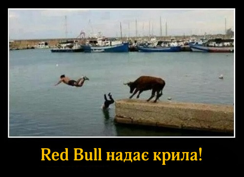 Red Bull надає крила! На фото: чоловіки, втікаючи від бика цибають у воду