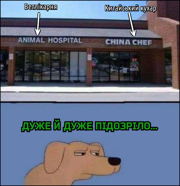 Поряд знаходиться ветеринарна лікарня і китайський ресторан. Пес дивиться на це: - Дуже й дуже підозріло...