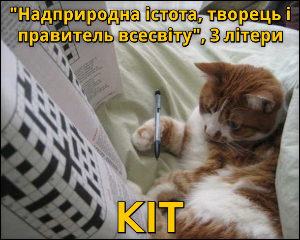 Кіт розгадує кросворд: Надприродна істота, творець і правитель всесвіту, 3 літери... Кіт!