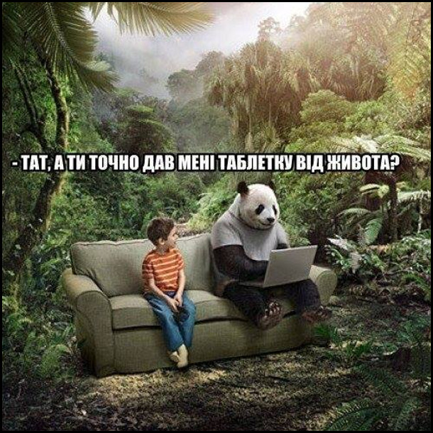 Посеред джунглів на дивані сидить хлопчик і велика панда. Хлопчик до панди: - Тат, а ти точно дав мені таблетку від живота?