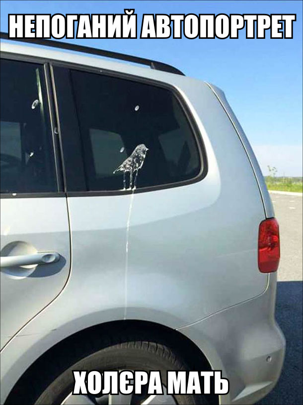 Пташиний послід на автомобілі в формі пташки. Непоганий автопортрет, холєра мать