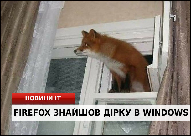 Новини IT: Firefox знайшов дірку в Windows. Лисиця (firefox) залізла крізь прочинену кватирку у вікні (window)