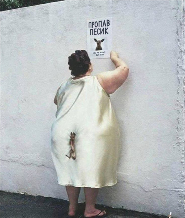Огрядна жінка клеїть на стіні оголошення Пропав песик. А сам песик в цей час затиснутий між її сідницями