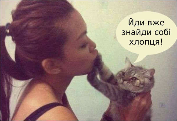 Дівчина хоче поцілувати котика, а він віставив лапи і каже: - Йди вже знайди собі хлопця!