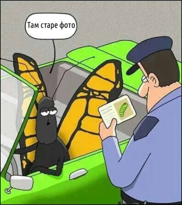 Метелика на машині зупиняє патрульний. Метелик показує йому водійське посвідчення, де на фото гусінь. Метелик пояснює: - Це старе фото