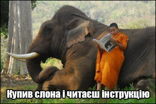 Купив слона і читаєш інструкцію