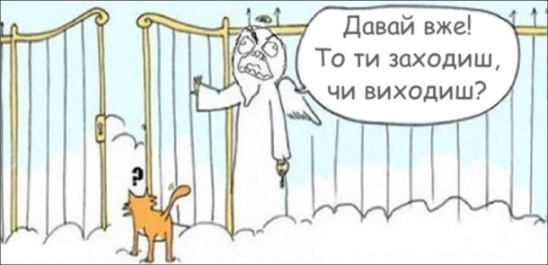Кіт стоїть перед ворітьми Раю. Апостол Петро, роздратовано: - Давай вже! То ти заходиш, чи виходиш?