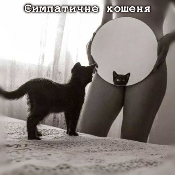 Симпатичне кошеня. Оголена дівчина тримає дзеркало на рівні паху. Там відображення мордочки чорного кошеняти
