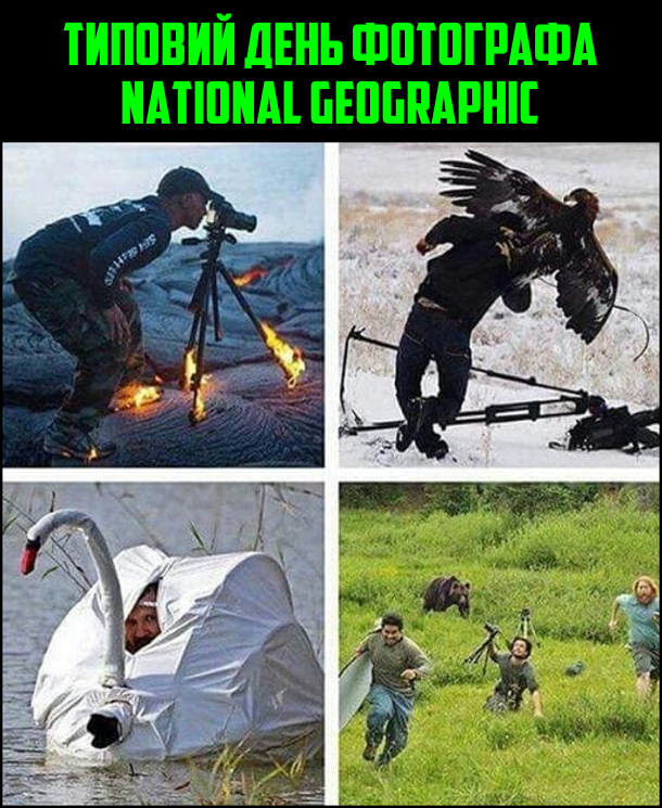 Типовий день фотографа National Geographic: фотографує на вулкані, коли вже горить штатив; нападає орел; маскується під лебедя; тікає від ведмедя