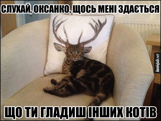 Ревнивий кіт. Кіт лежить на кріслі, а позаду нього подушка з зображенням рогатого оленя. І зається, неначе це в кота роги. Кіт: - Слухай, Оксанко, щось мені здається, що ти гладиш інших котів