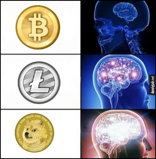 Рейтинг  криптовалют.  Мем expanding brain (розширення мозку). Bitcoin, Litecoin і валюта з песиком