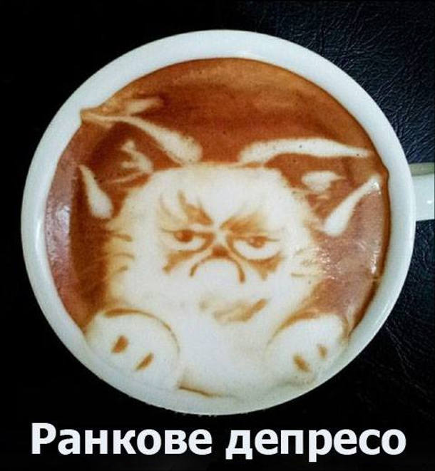 Жарт про каву і котів. Ранкове депресо. Малюнок на кавовій пінці - сердитий кіт