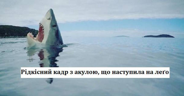 Рідкісний кадр з акулою, що наступила на лего
