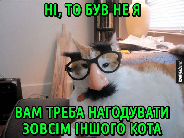 Хитрий кіт захотів двічі поїсти, тому надів на себе окуляри з бровами і вусами і каже: - Ні, то був не я. Вам треба нагодувати зовсім іншого кота