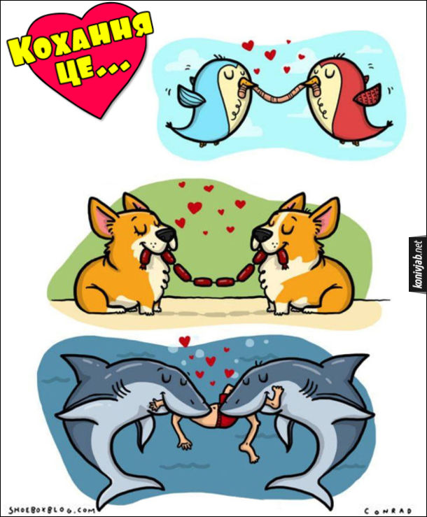 Жарт, прикол. Кохання це... Двоє закоханих пташок їдять одного черв'яка, двоє закоханих собак їдять одну в'язку сосисок, дві закохані акули їдять одну людину