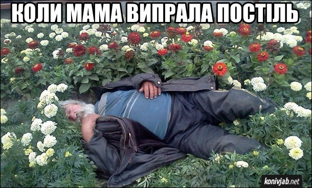 Це відчуття, коли мама випрала постіль. П'яниця заснув в клумбі серед квітів. Випрана постіль