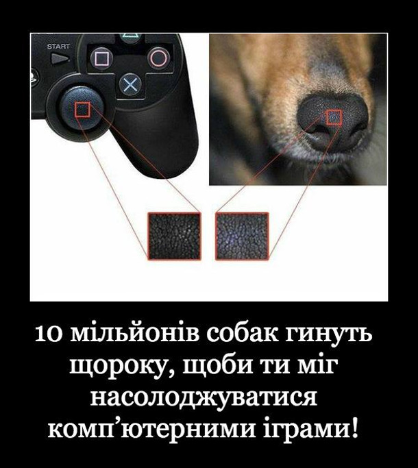 Прикол про джойстик. 10 мільйонів собак гинуть щороку, щоби ти міг насолоджуватися комп'ютерними іграми!