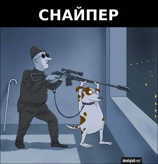 Сліпий снайпер стоїть біля вікна і тримає рушницю, а пес-поводир цілиться