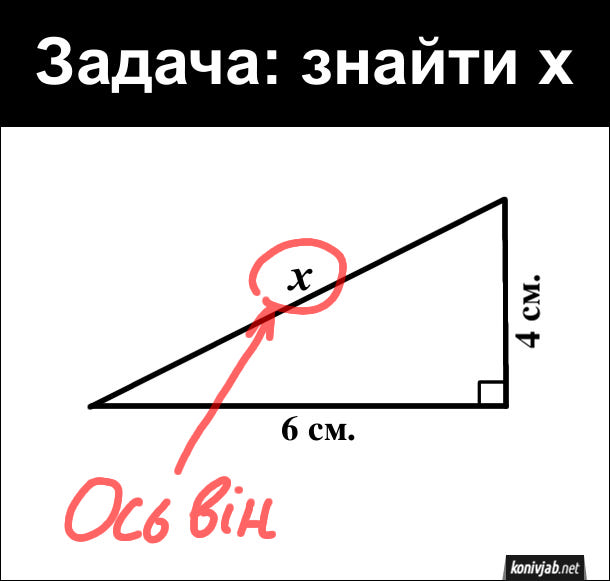 Задача: як знайти x, гіпотенузу прямокутного трикутника з катетами 6 см. і 4 см.