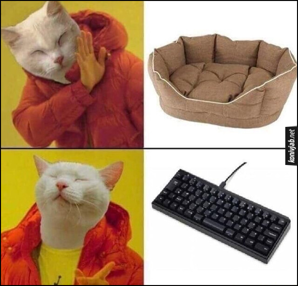 Мем Де любить спати кіт. Спеціальне ліжко для кота - ні. Клавіатура - так.