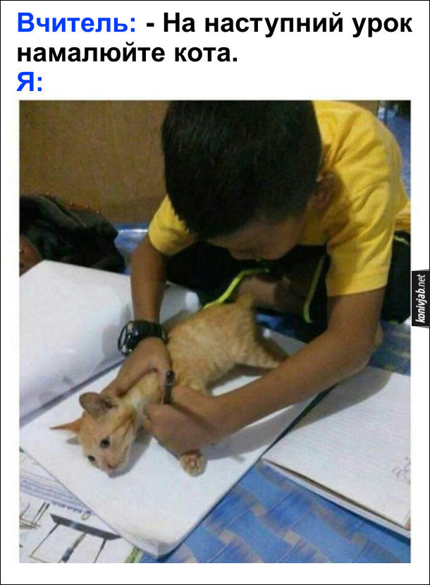 Як малювати кота. Вчитель: - На наступний урок намалюйте кота. Я взяв кота, поклав на аркуш паперу і обвів його олівцем