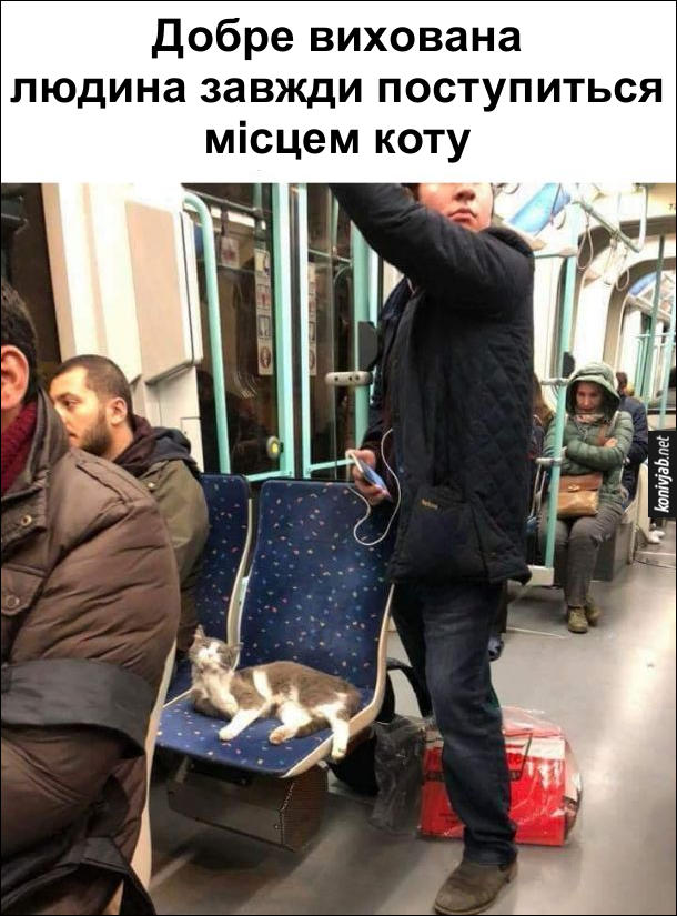 Кіт в транспорті. Добре вихована людина завжди поступиться місцем коту. В громадському транспорті на сидінні лежить кіт, а поряд стоїть чоловік