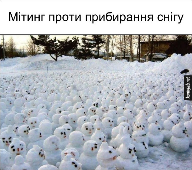 Багато сніговиків. Мітинг проти прибирання снігу