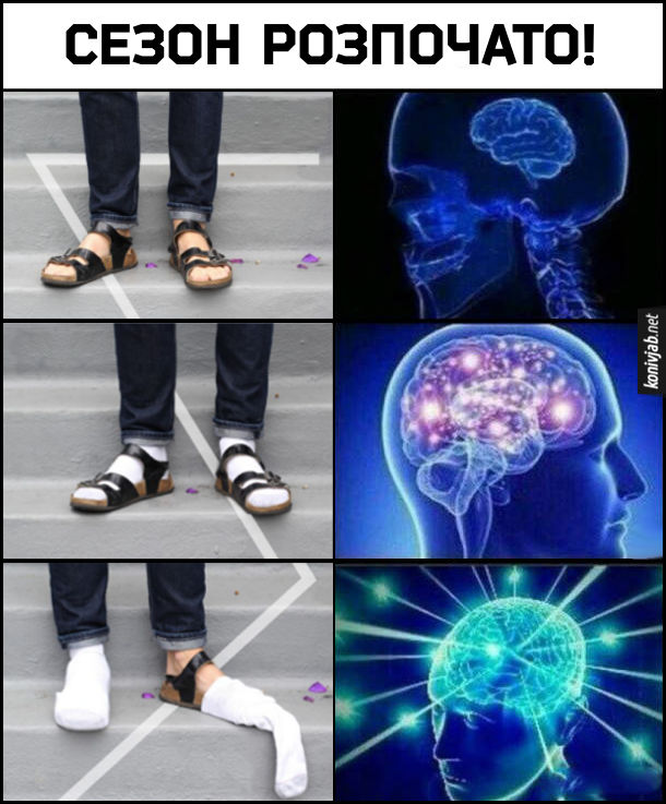 Мем Еxpanding brain про шкарпетки під сандалі