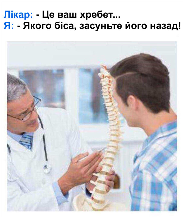 Жарт про ортопеда. Лікар, показуючи макет хребта: - Це ваш хребет... Я: - Якого біса, засуньте його назад!