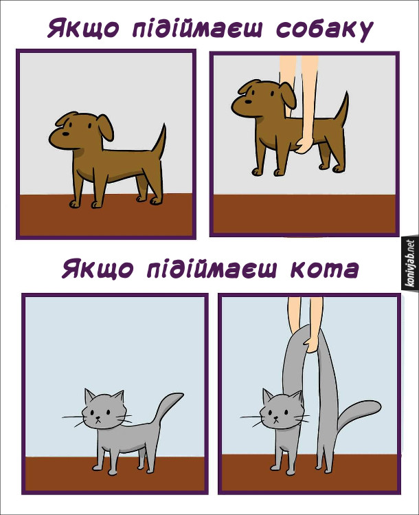 Смішний малюнок про собаку і кота. Різниця поведінкою собаки і кота. Якщо підіймаєш собаку - все просто. Якщо підіймаєш кота - кіт вигинається дугою