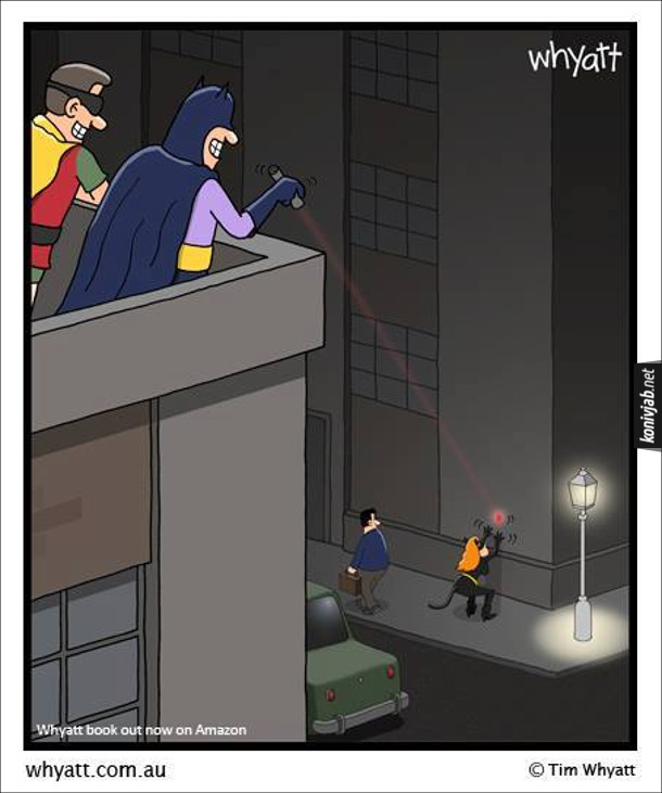 Смішний малюнок Бетмен і Жінка-Кішка. Бетмен і Робін сидять на даху і бавляться: Бетмен світить лазерним вказівником на будинок, а Жінка-Кішка чибає, щоб зловити цю червону цяточку