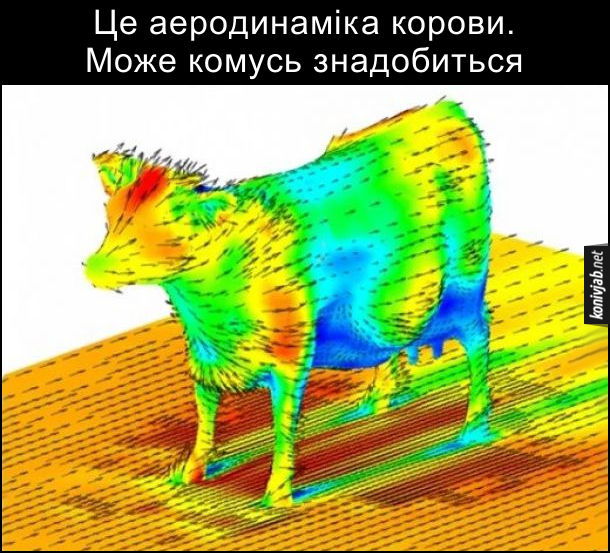 Це аеродинаміка корови. Може комусь знадобиться