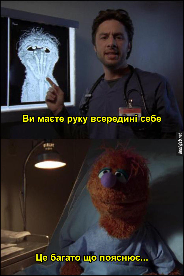 Жарт про маппетів. Маппет Ведмідь Фоззі в лікарні. Лікар показує йому рентген і каже: - Ви маєте руку всередині себе. Фоззі: - Це багато що пояснює...
