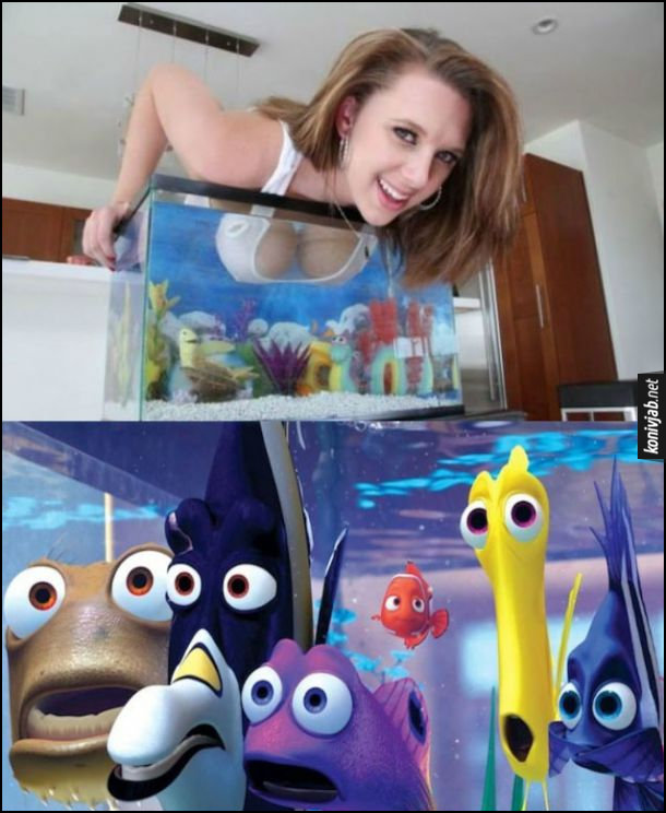 Дівчина опустила груди в акваріум. Риби в акваріумі (персонажі з мультфільму В Пошуках Немо) пороззявляли роти