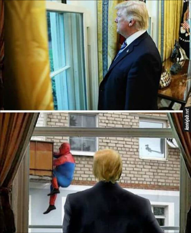 Мем з Трампом. Дональд трамп дивиться у вікно, а за вікном гладкий соловік в костюмі спайдермена, лізе на балкон
