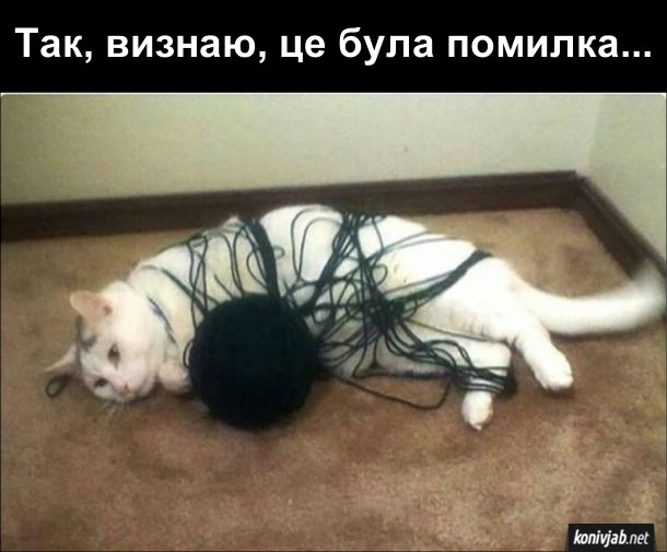 Прикол. Кіт і клубок. Кіт грався з клубком, але заплутався в нитках. Думає: - Так, визнаю, це була помилка...