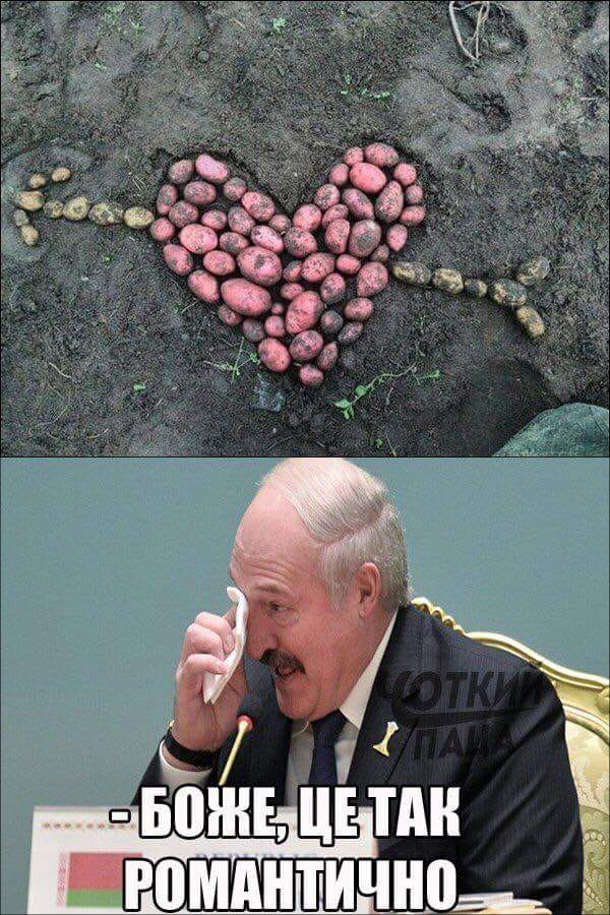 Прикол про Лукашенка. З картоплі викладено серце пробите стрілою. Олександр Лукашенко: - Боже, це так романтично