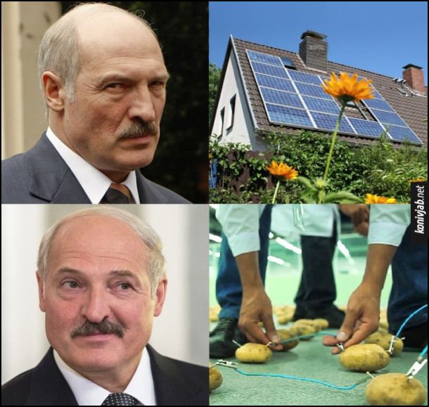 Прикол Альтернативна енергетика. Сонячні батареї - Олександр Лукашенко незадоволений. Електрика з картоплі - Лукашенко задоволений