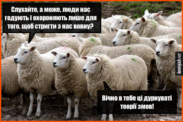 Прикол про овець. Одна вівця: - Слухайте, а може, люди нас годують і охороняють лише для того, щоб стригти з нас вовну? Інша вівця: - Вічно в тебе ці дурнуваті теорії змов!