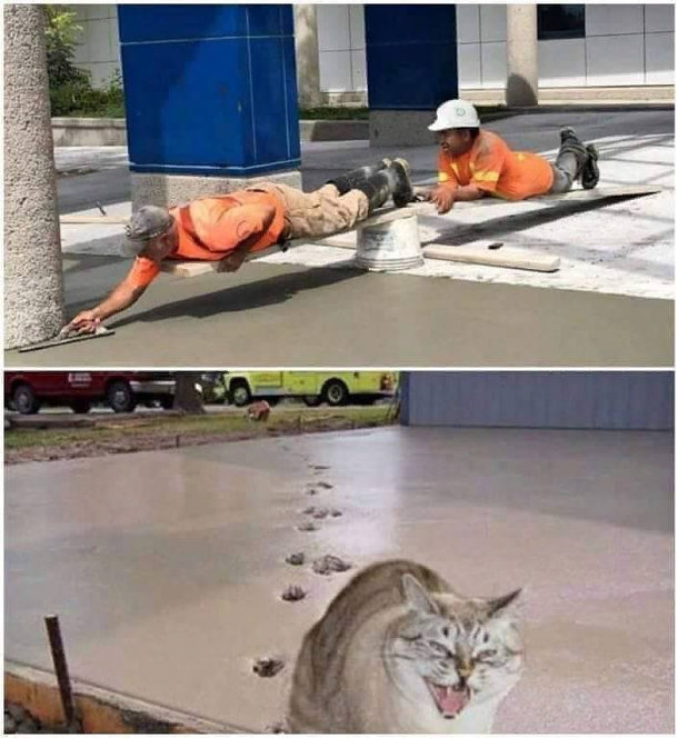 Прикол кіт залишив сліди на бетоні. Майстер, лежачи на дошці вирівнює бетон, помічник лежить з іншого боку дошки, щоб майстер не впав. А потім кіт пробігся по свіжому бетону і залишив на ньому сліди