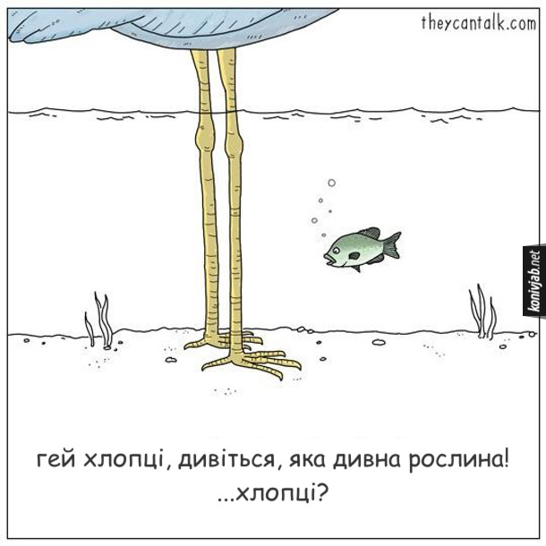 Смішний малюнок Риба і чапля. Риба дивиться на лапи чапліі каже: - Гей хлопці, дивіться, яка дивна рослина! ...Хлопці?