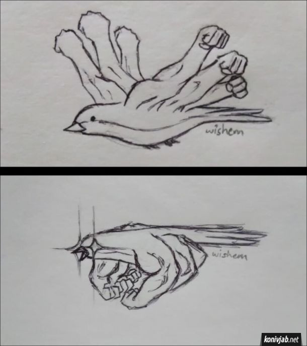 Смішний малюнок птаха, в якого замість крил - накачані людські руки