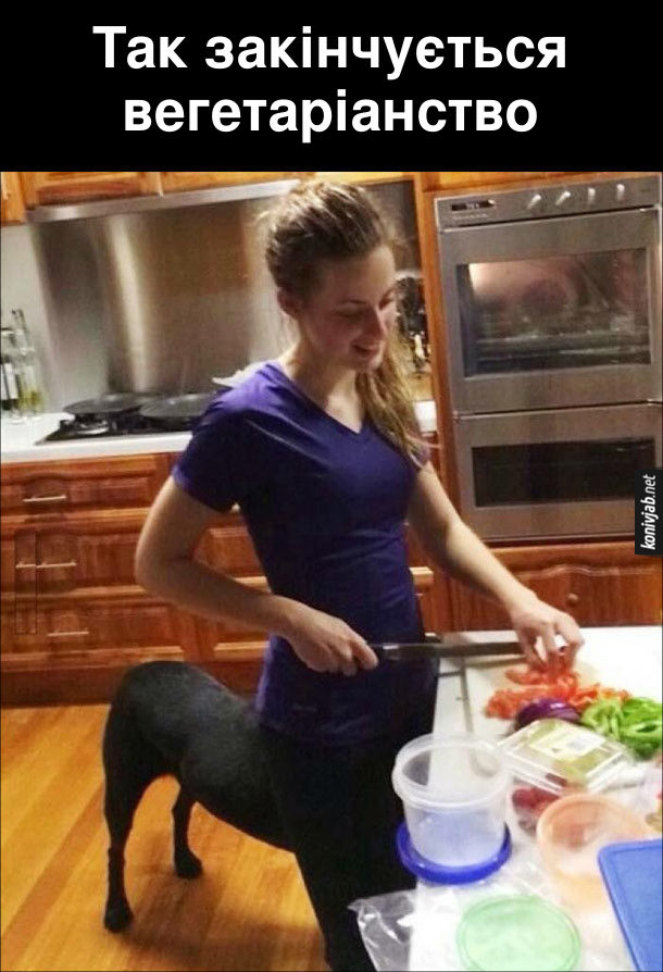 Жарт про вегетаріанство. Так закінчується вегетаріанство. Фото візуальний обман: дівчина на кухні нарізає салат, а позаду неї стоїть собака. Схоже ніби, в дівчини собачі ноги