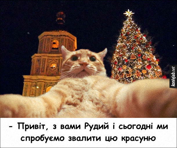 Прикол Кіт і ялинка. Кіт веде стрім з Софійської площі, де встановлена різдв'яна ялинка: - Привіт, з вами Рудий і сьогодні ми спробуємо звалити цю красуню